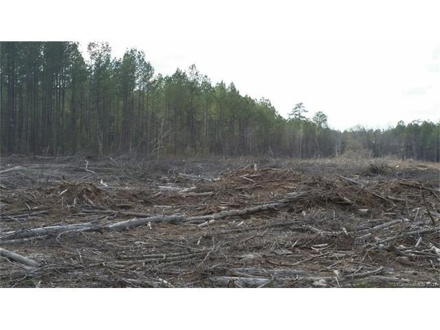 244 Ac Hwy 521 Highway - Photo 1