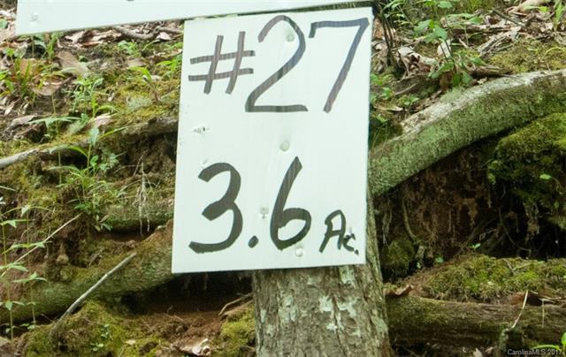 LOT 27 Black Rock Creek - Photo 1