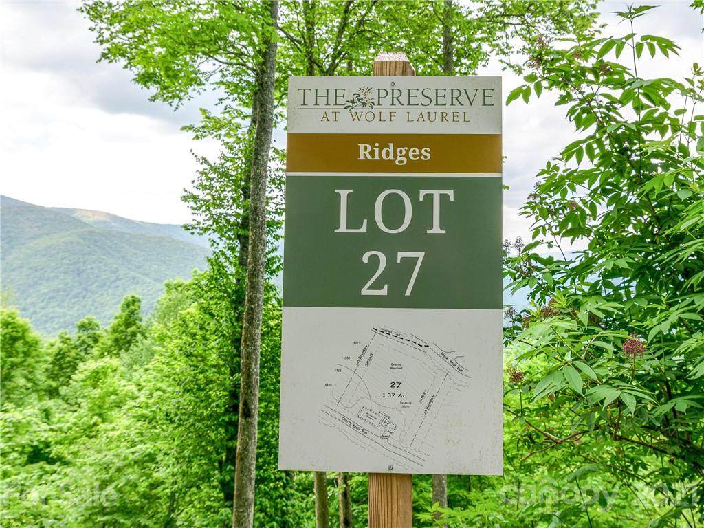 Lot 27 Cherry Knob Drive - Photo 1