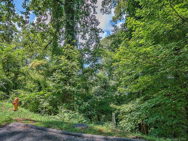 LOT 23 Peregrine Lane - Photo 1