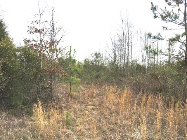 000 Hwy 5 Highway - Photo 1