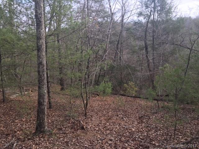lot 165 Pheasant Street - Photo 1