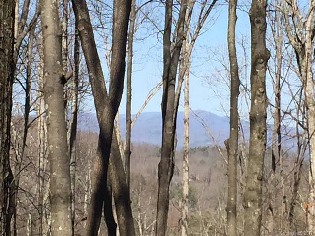 101 Bollers Knob Lane - Photo 1