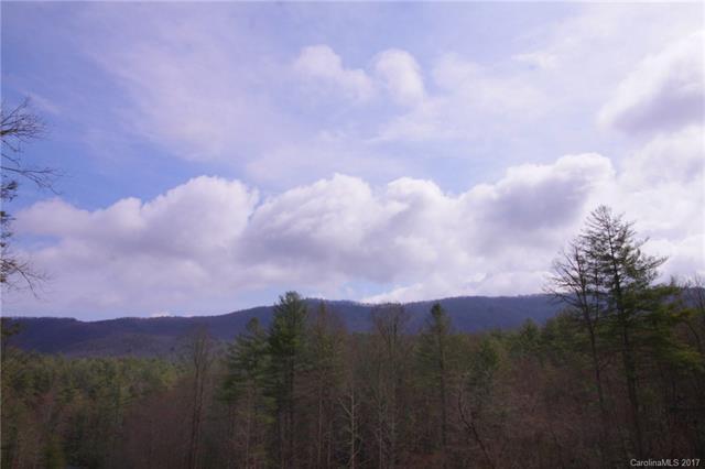Lot 3 Abby Falls Road - Photo 1