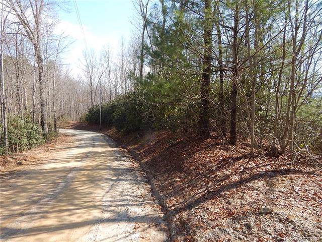 TBD Gray Fox Road - Photo 1
