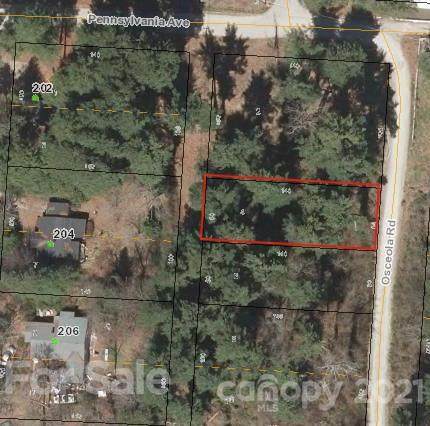 00000 Osceola Road - Photo 1