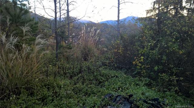 22 Snap Dragon Court - Photo 1