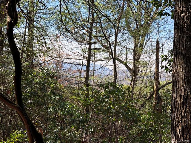 129 Falls Summit Lane - Photo 1