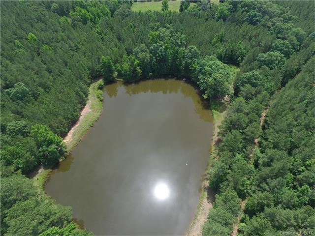 3685 Nc 109 Highway - Photo 1