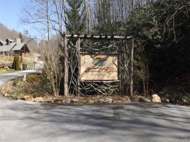 Lot #35 Garnet Road - Photo 1