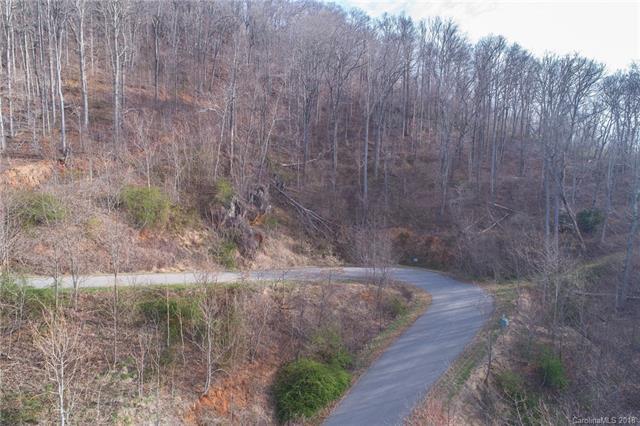 TBD Lot 17 Nellie Bell Lane - Photo 1