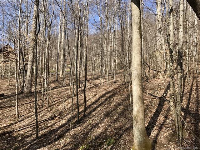 885 Stoney Stream Lane - Photo 1