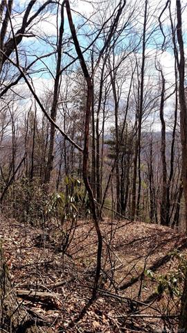 0000 Hawks Ridge Drive - Photo 1