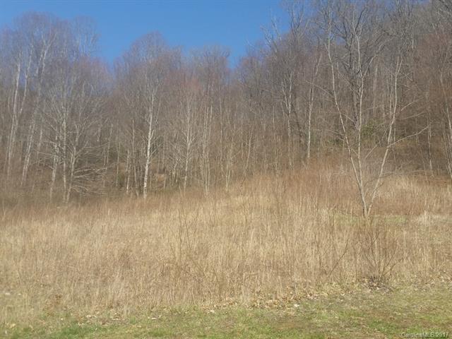 Lots 35 & 36 Triple Creek Drive - Photo 1