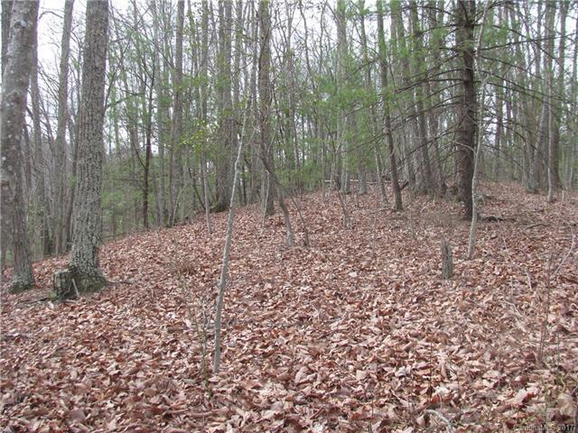 #1 Dix Creek Road - Photo 1