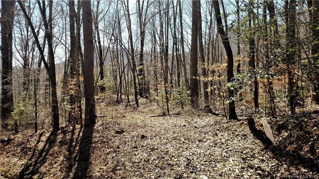 0000 Hemlock Falls Drive - Photo 1