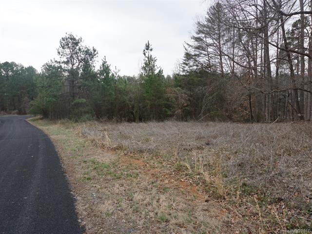 LOT 15 Sheepnose Drive - Photo 1