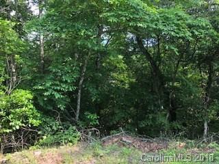 TBD Indian Ridge Trail - Photo 1