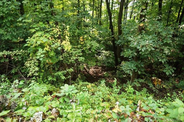 98 Laurel Thicket Drive - Photo 1