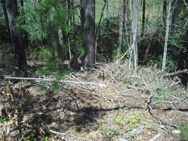 65 Timber Ridge Circle - Photo 1