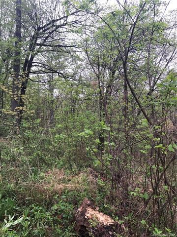 64 Hidden Meadow Drive - Photo 1