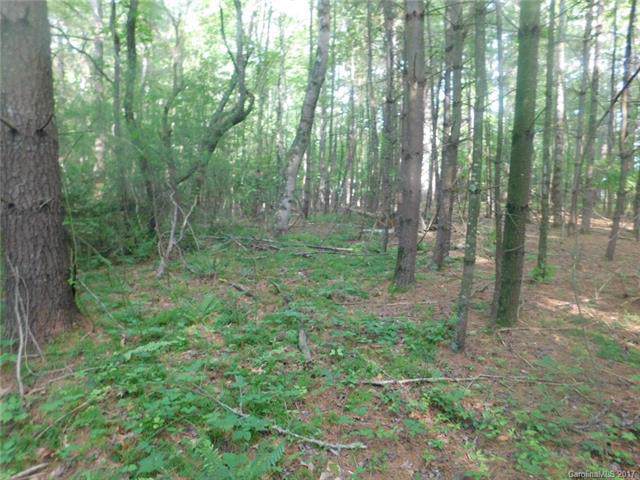 Lot 2 Pisgah Drive - Photo 1