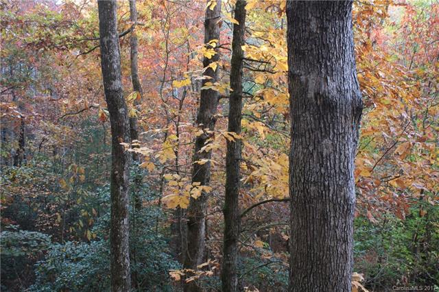 Lot 10 Forest Trail - Photo 1