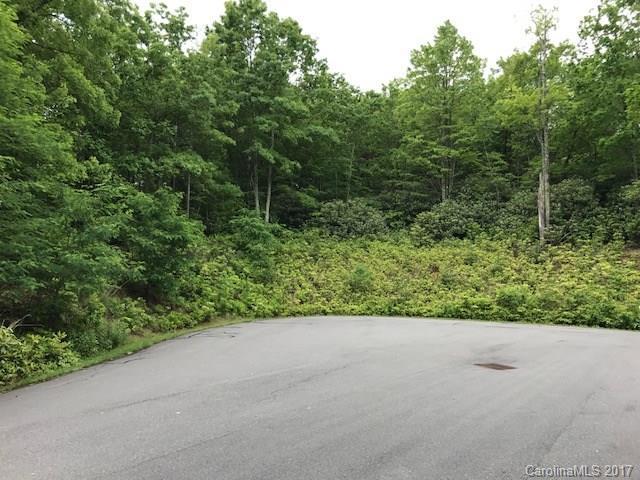 98 Attica Falls Trail - Photo 1
