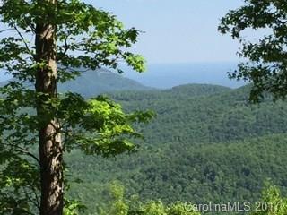 lot 4 High Cliffs Trail - Photo 1