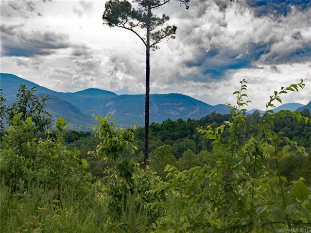 Lot #348 Deer Jump Trail - Photo 1