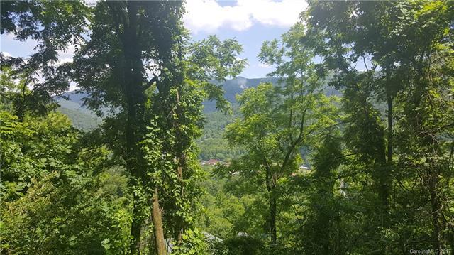 Lot 21 Cub Trail - Photo 1