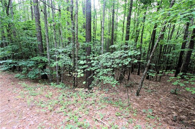 Lot 15 Chasewood Circle - Photo 1