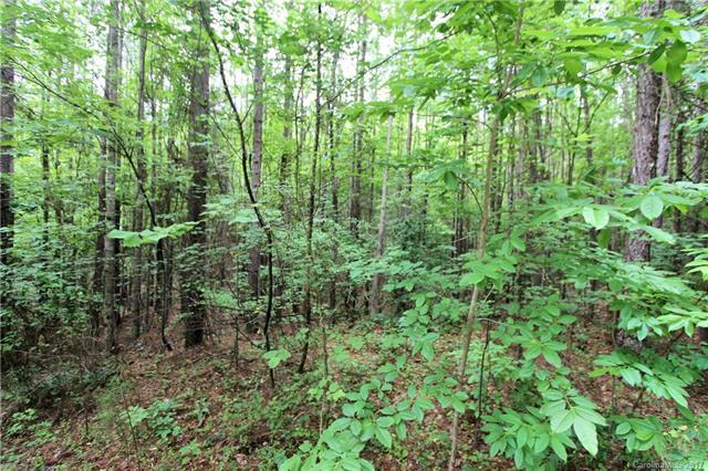 Lot 13 Chasewood Circle - Photo 1