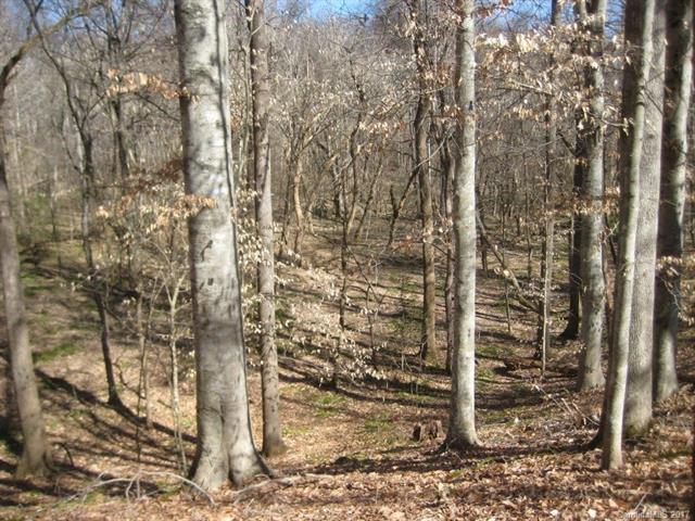 00 Landsford Road - Photo 1