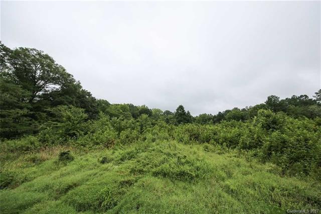 Lot 9 Aaron Burr Road - Photo 1