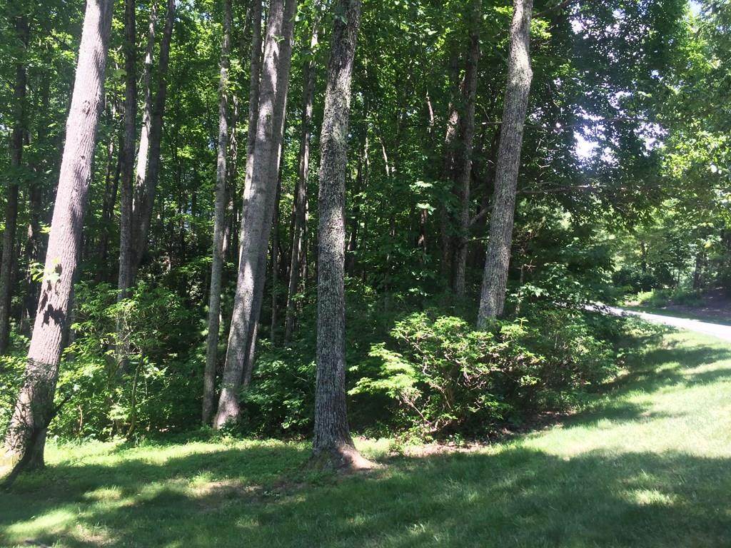 101 Little Cherokee Ridge - Photo 1