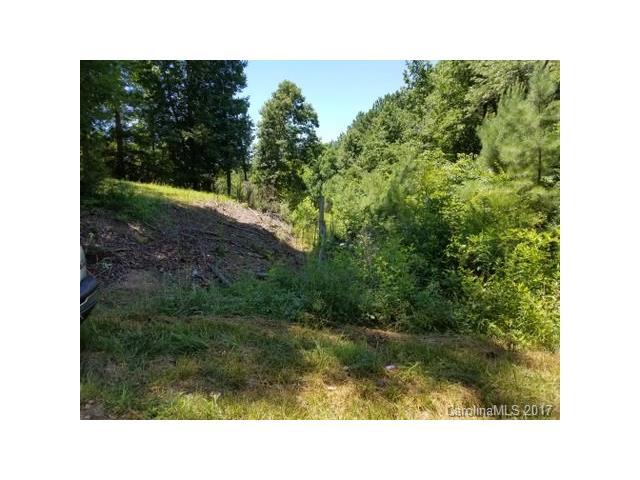 0 Feature Road - Photo 1