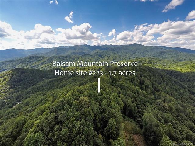 Lot 223 Flying Dutchman Road - Photo 1