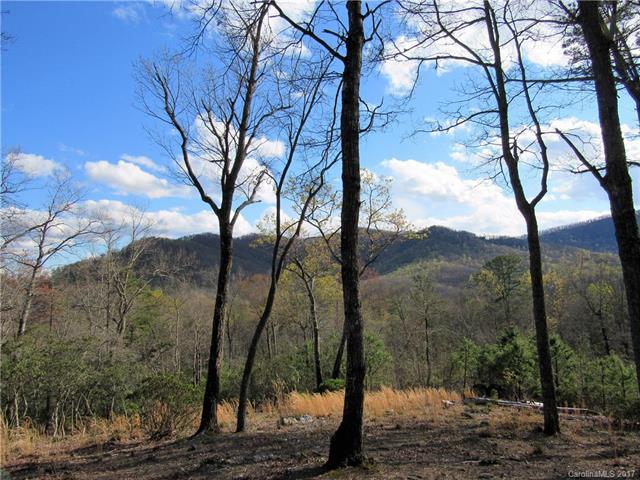 1906 Tree View Trail - Photo 1