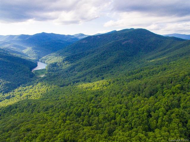 162 AC Bee Tree Road - Photo 1
