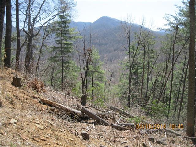 4 Taryn Trace - Photo 1