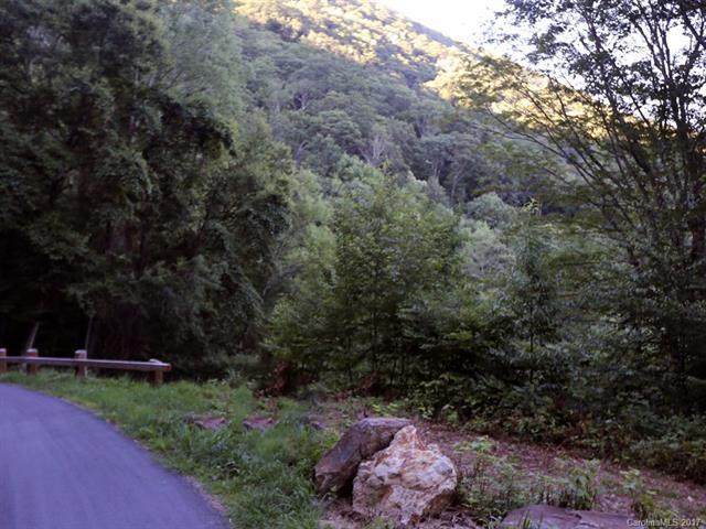 00 Running Deer Trail - Photo 1