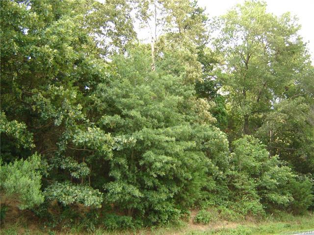 0000 Snyders Store Road - Photo 1
