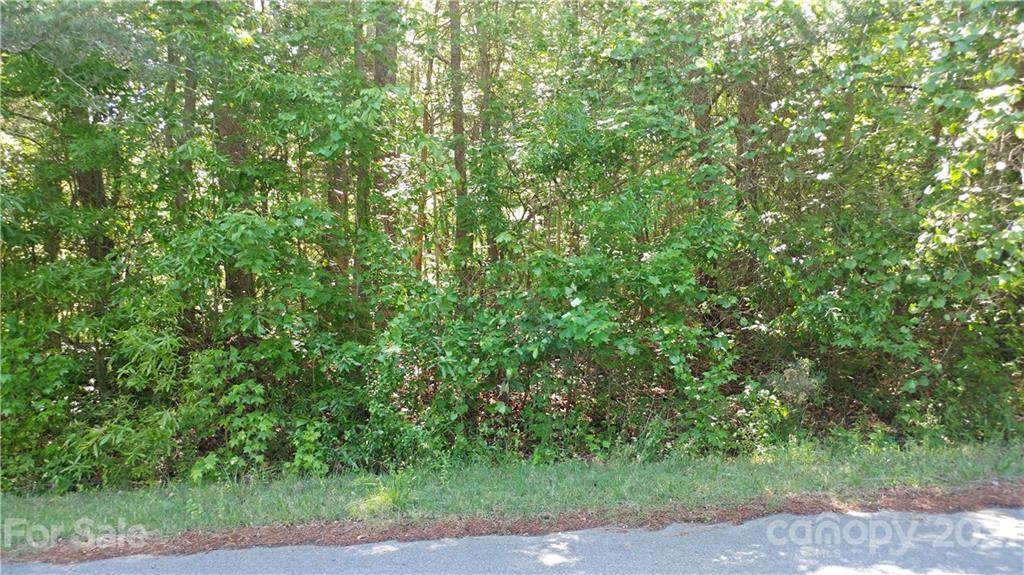 Lot 39 Pineville Estate - Photo 1