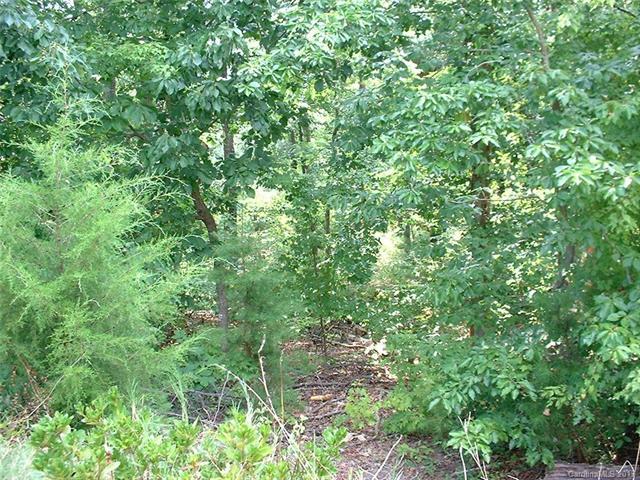 00 Horse Creek Road - Photo 1