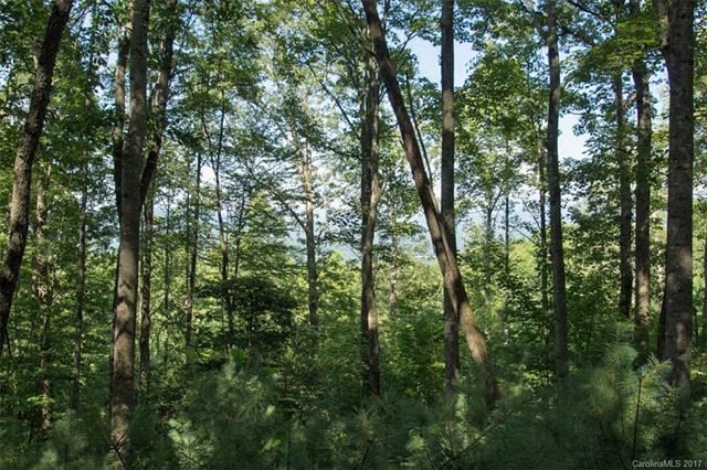 233 Mountain Sunset Trail - Photo 1