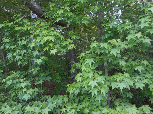 7261 Stokes Ferry Road - Photo 1