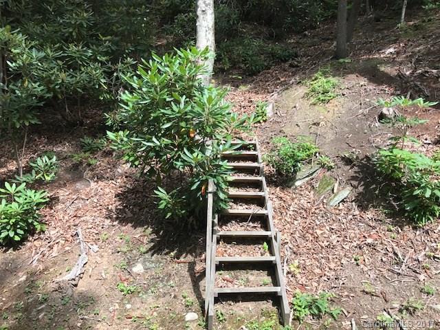 tbd Greybeard Trail - Photo 1