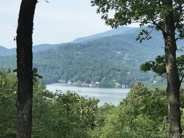 Lot 20 Hawks Nest Trail - Photo 1