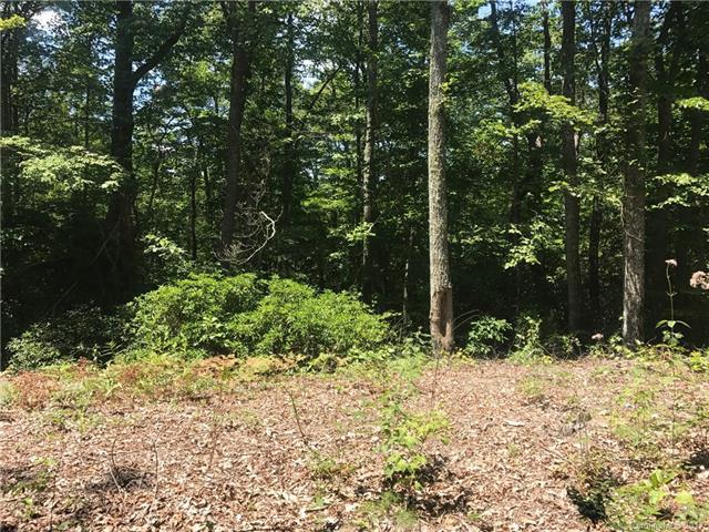 Lot 52 High Peak Lak Festivity Lane - Photo 1